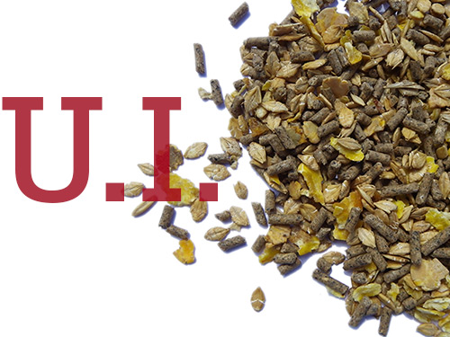 Unidades Internacionales