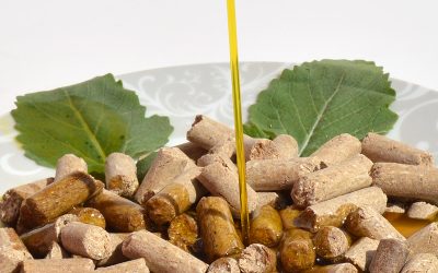 Los aceites: los grandes aliados energéticos de los caballos