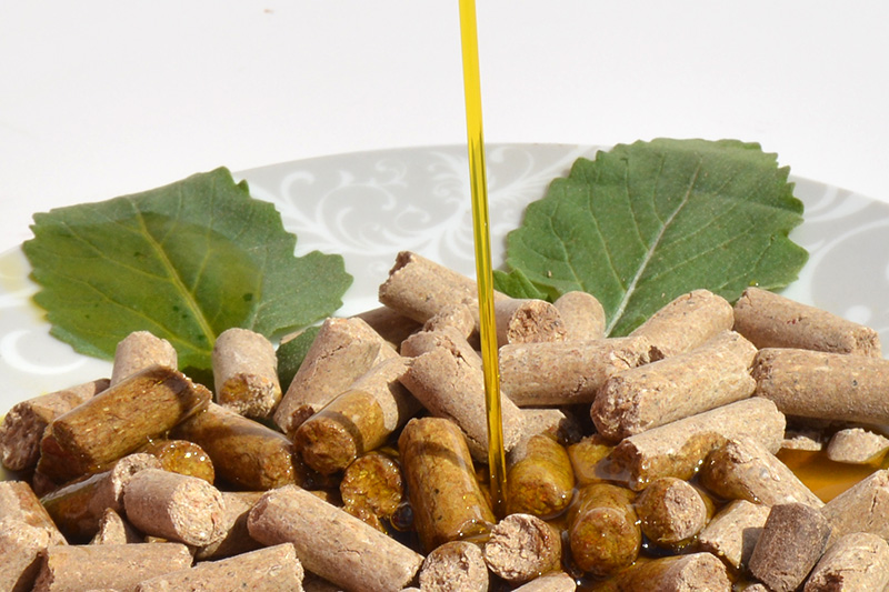 aceites vegetales y pienso