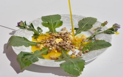 Los aceites vegetales: aliados para luchar contra los cólicos de los caballos