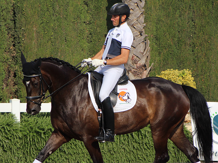 Binomio de jinete y caballo entrenando en doma clásica.