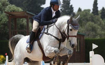 Electrolitos para caballos