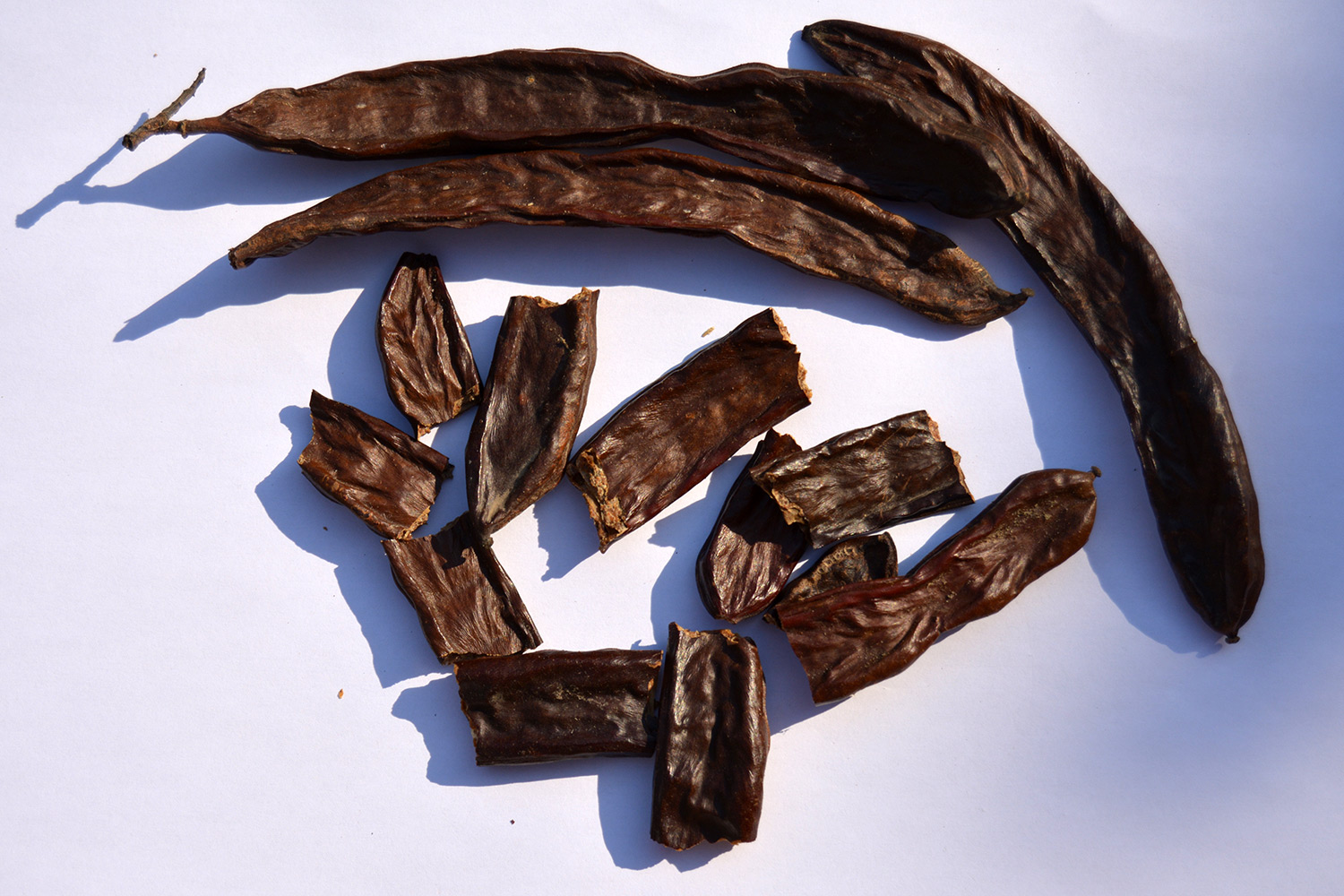 algarrobas maduras