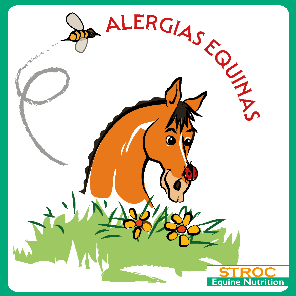 Alergias equinas