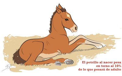 Datos sobre peso y temperatura de caballos