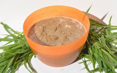 Hidratación extra para los caballos con Stroc SOAK FIBRE