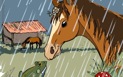 Caballos y lluvia